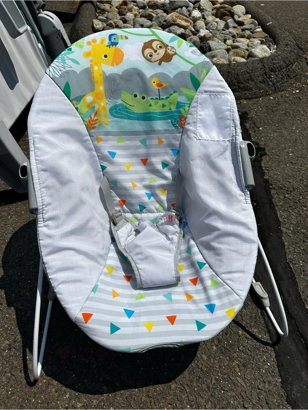 Bright starts baby bouncer